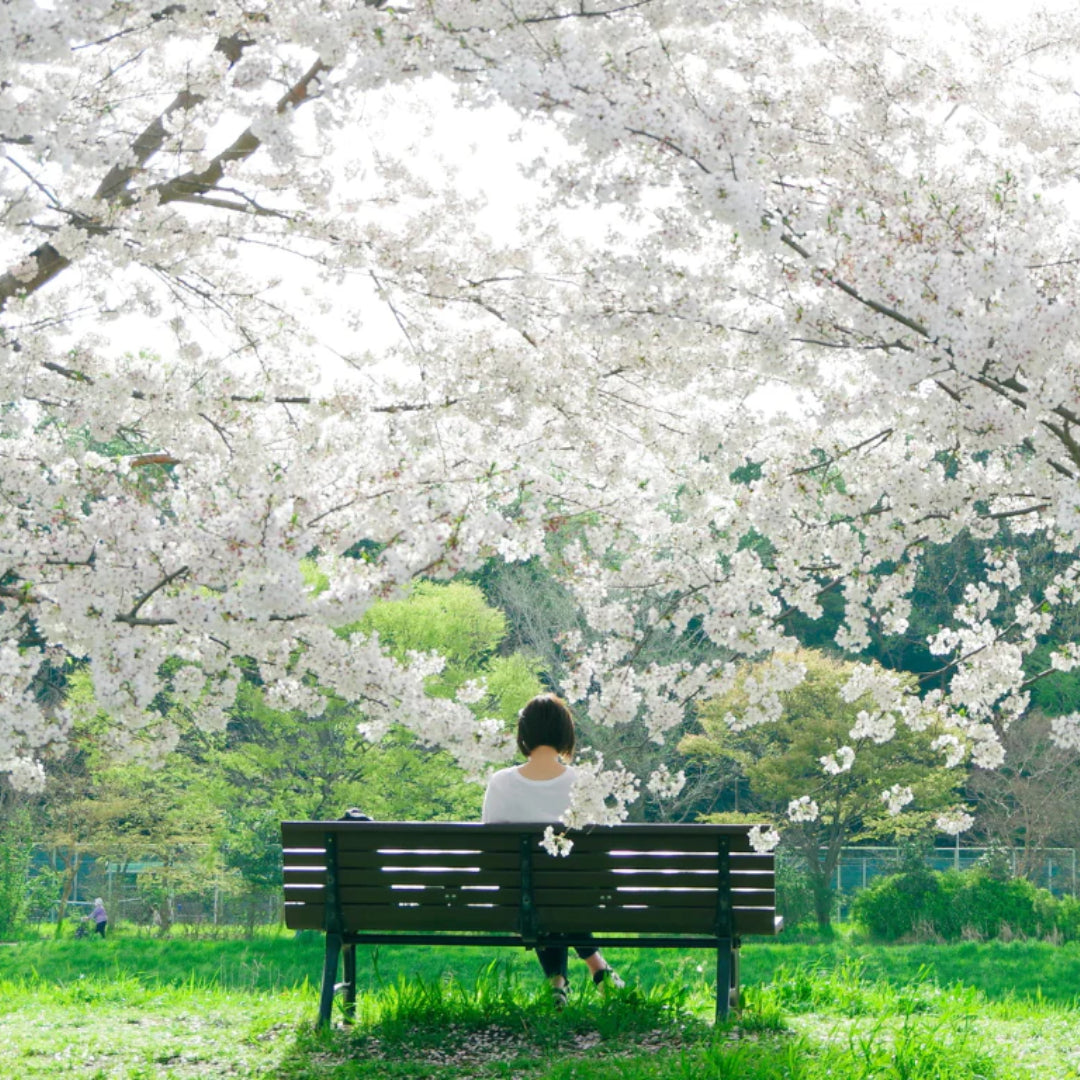 Spring Hair Problems to Combat